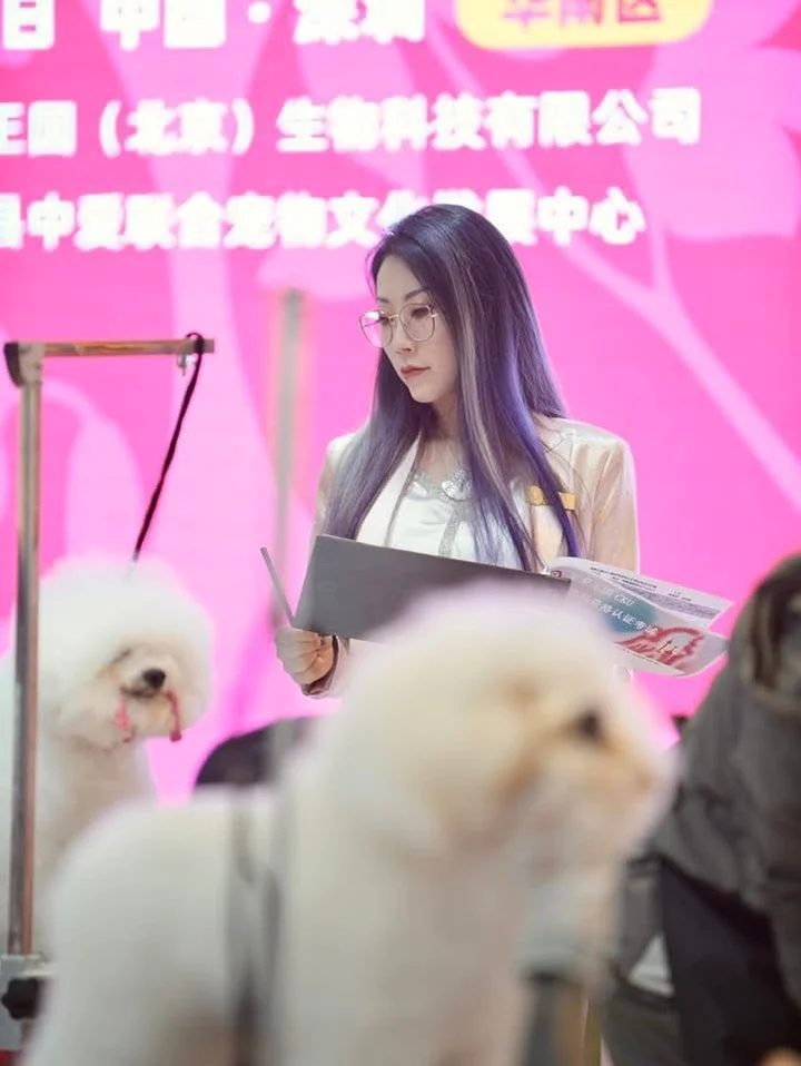 Grafika promocyjna wydarzenia Chińska Magia z Yan Wu — Asian Modeling Seminar i warsztaty groomingu