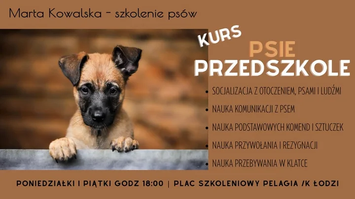 Obrazek przedstawia grafikę promocyjną wydarzenia Psie Przedszkole dla szczeniąt — kurs treningowy w Pelagii koło Łodzi