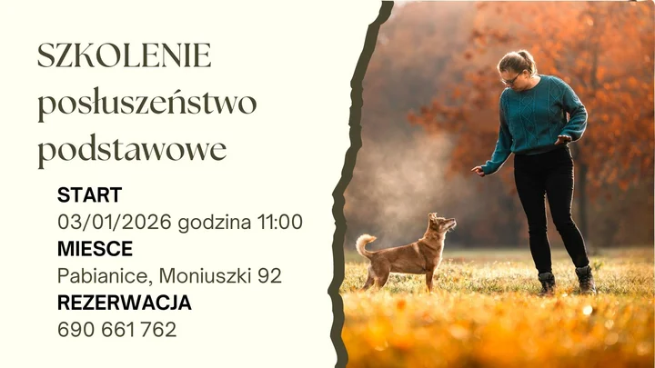 Grafika promocyjna wydarzenia Szkolenie dla psów – Posłuszeństwo podstawowe
