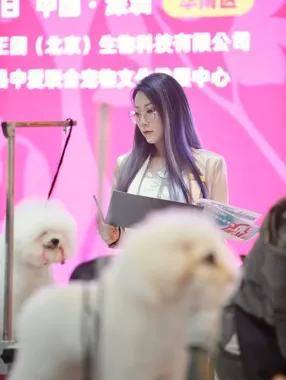 Grafika promocyjna wydarzenia Chińska Magia z Yan Wu — Asian Modeling Seminar i warsztaty groomingu