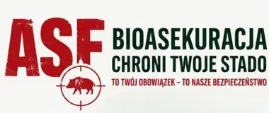 ASF w gospodarstwie. Te zasady mogą ochronić hodowlę przed stratami