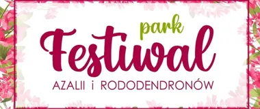 Azalie i rododendrony rozkwitną na Placu Wolności