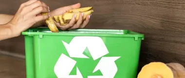 Bioodpady pojadą innym dniem. Zmiana dotknie wielu ulic w Konstantynowie Łódzkim