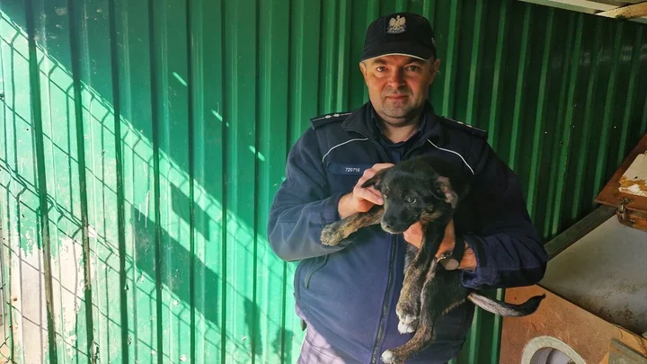 Szczeniak w worku na cudzej posesji - senior tłumaczył się brakiem pieniędzy
