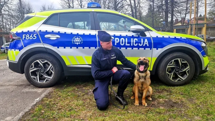 Wesoła już patroluje Pabianice - nowa funkcjonariuszka ma wyjątkowy nos