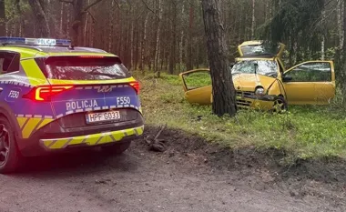 Lekcja jazdy skończyła się na drzewie - pasażer trafił śmigłowcem do szpitala